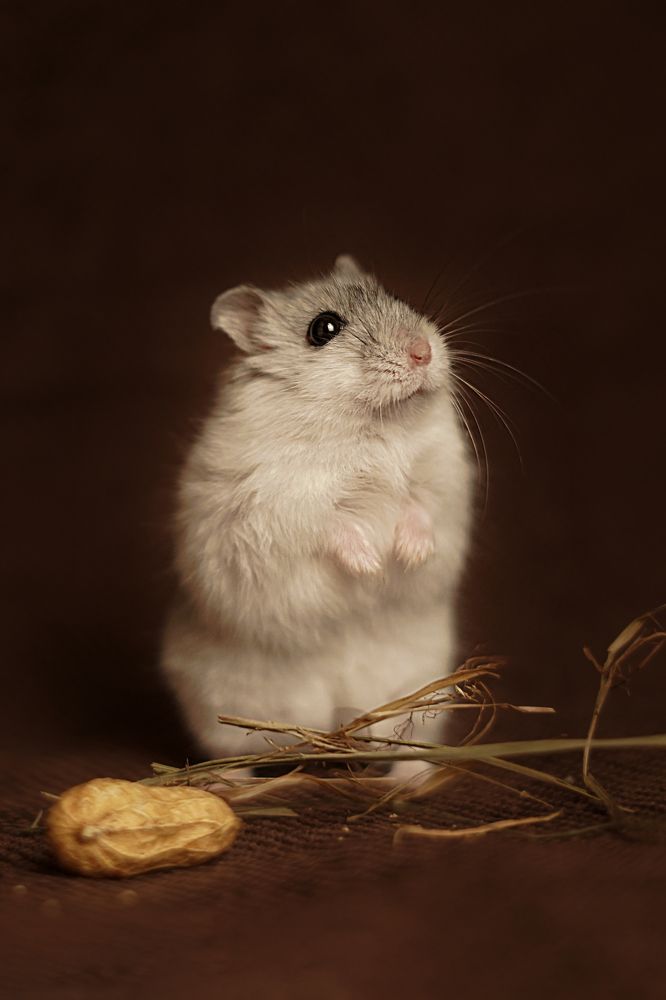 Photograph by Анна Марковская