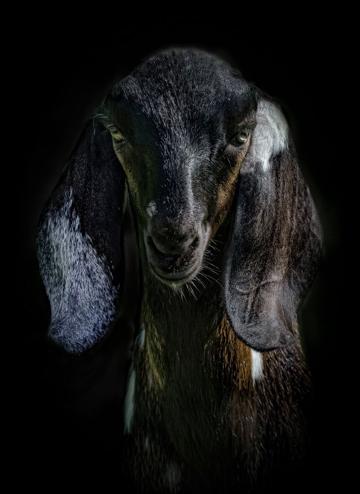 Фотография автора Черновол Валентин