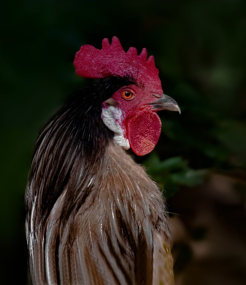 Фотография автора Черновол Валентин