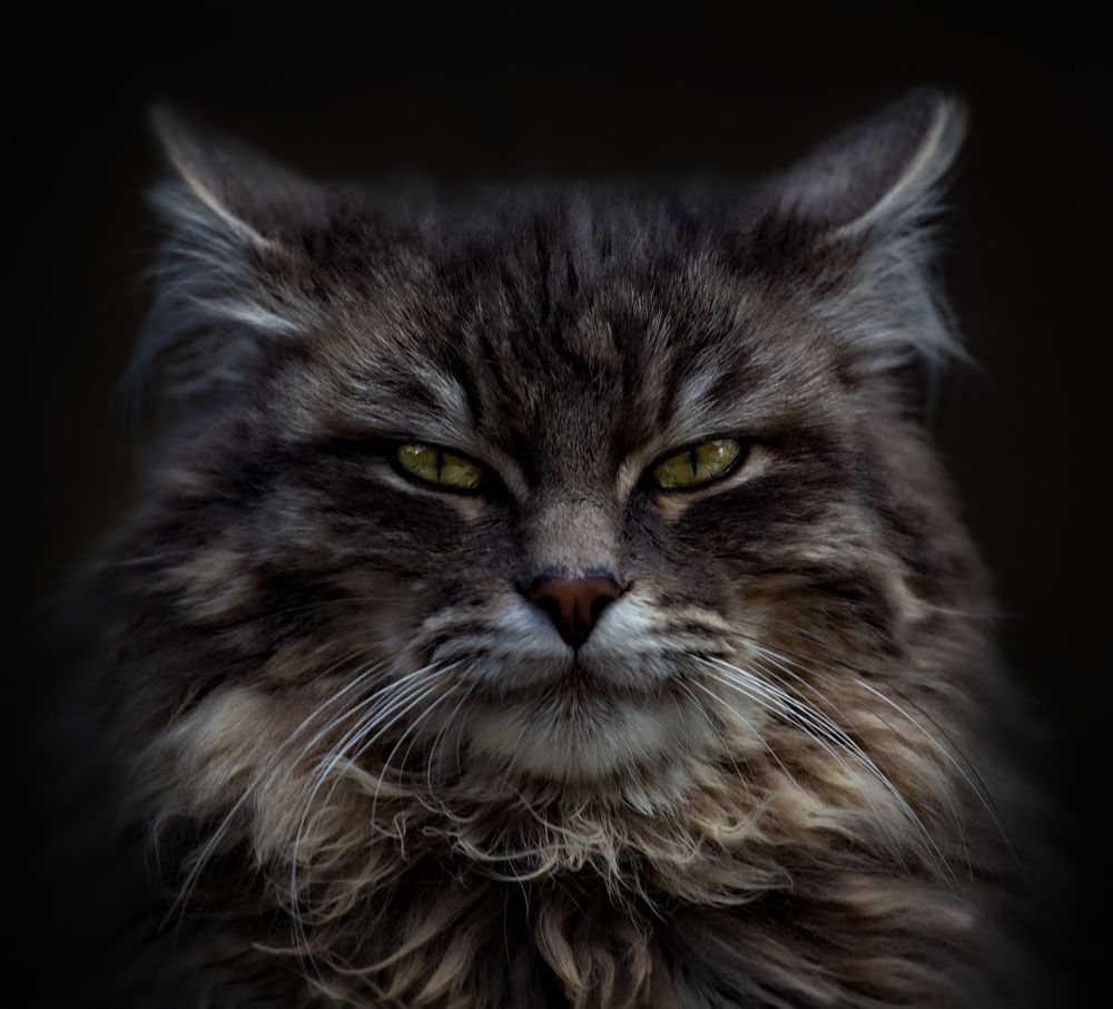 Фотография автора Черновол Валентин