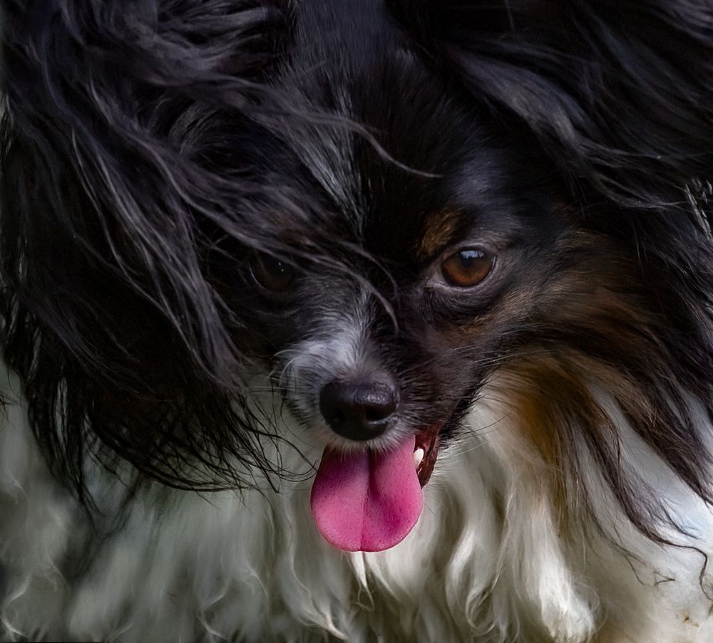 Фотография автора Черновол Валентин