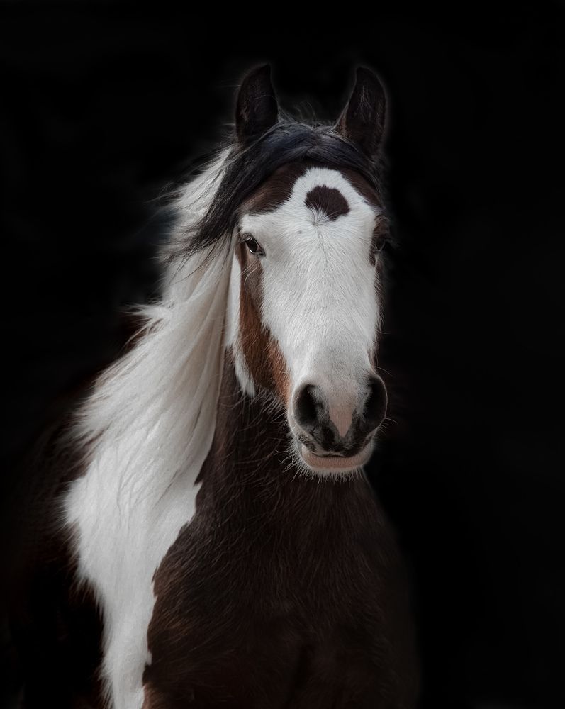 Фотография автора Черновол Валентин