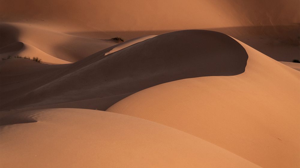 Photograph by Noureddine Belfethi