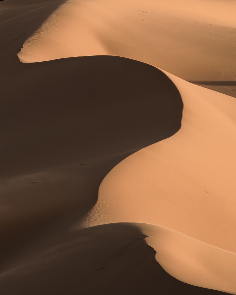 Photograph by Noureddine Belfethi