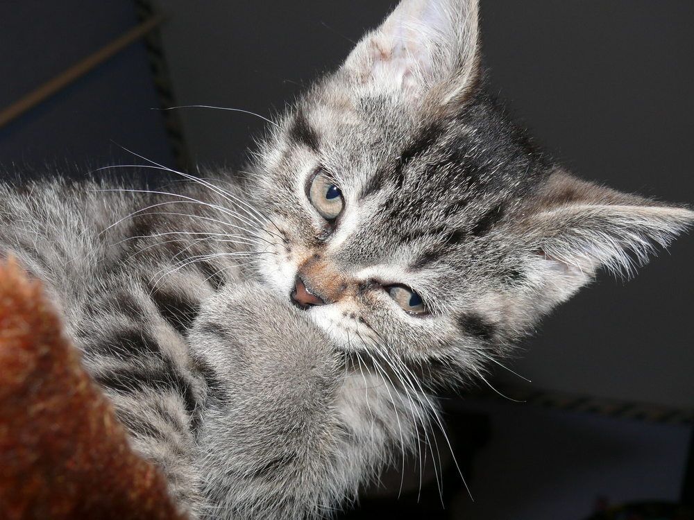 Photograph by Елена Март