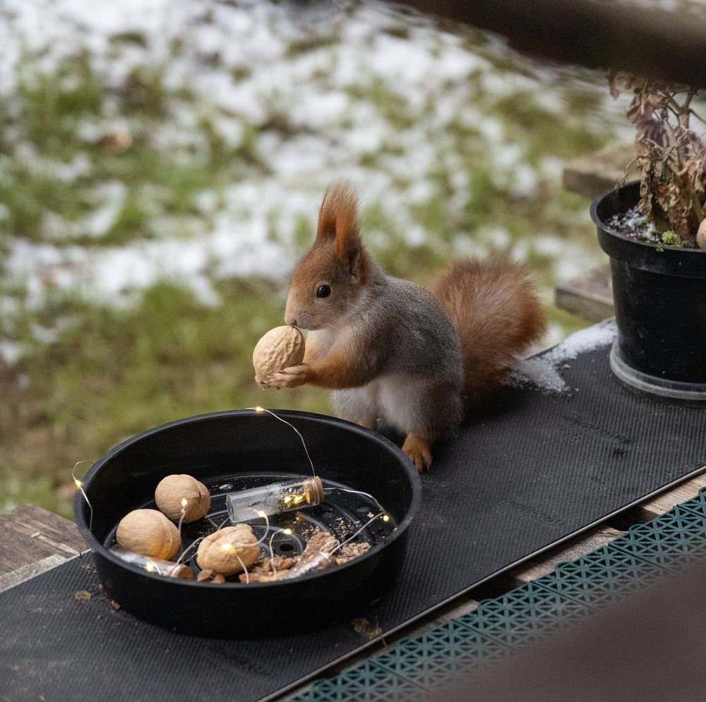 Photograph by Елена Март