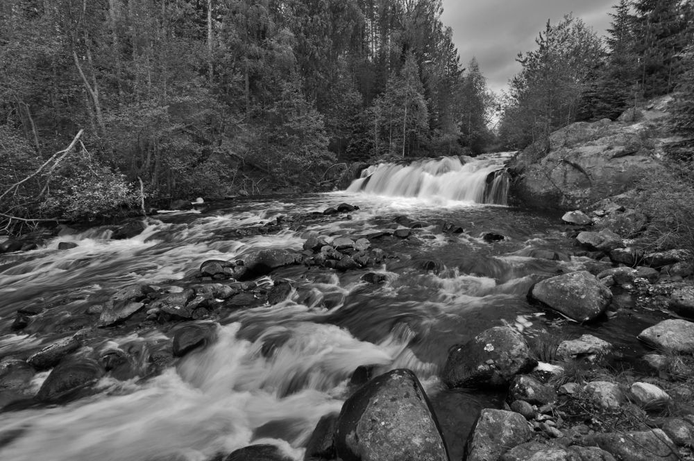 Photograph by Николай Раппу