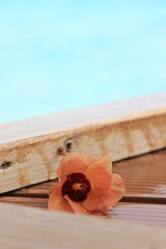 Photograph by Валерия Лунина