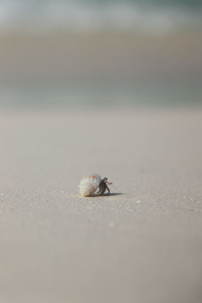 Photograph by Валерия Лунина