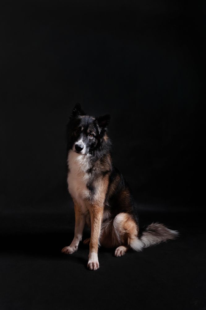 Фотография автора Ману Фалько