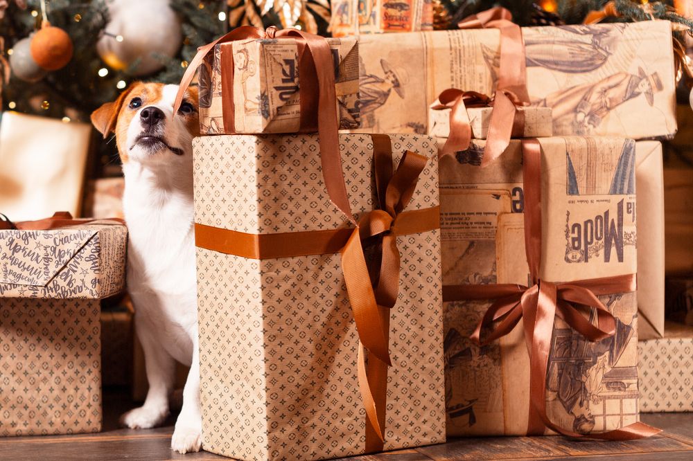 Photograph by Ольга