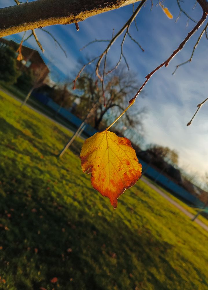 Photo #11666636