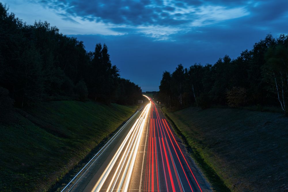 Фотография автора Анастасия Богатова