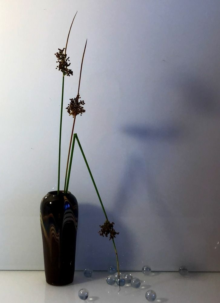 Photograph by Галина Пименова