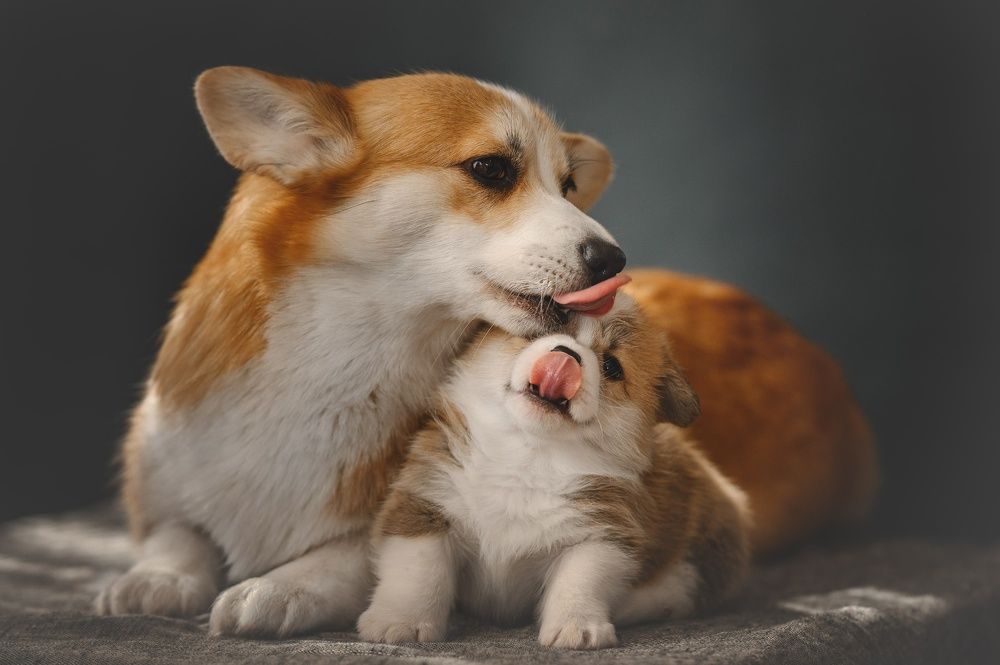 Фотография автора Мороз Ирина