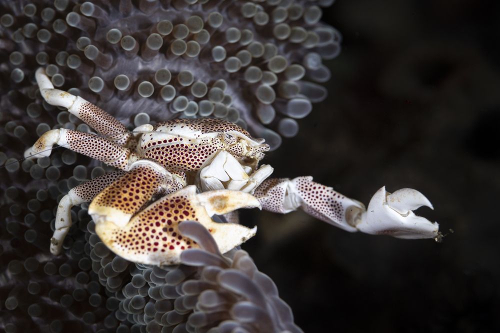 Фотография автора Fabi Fregonesi