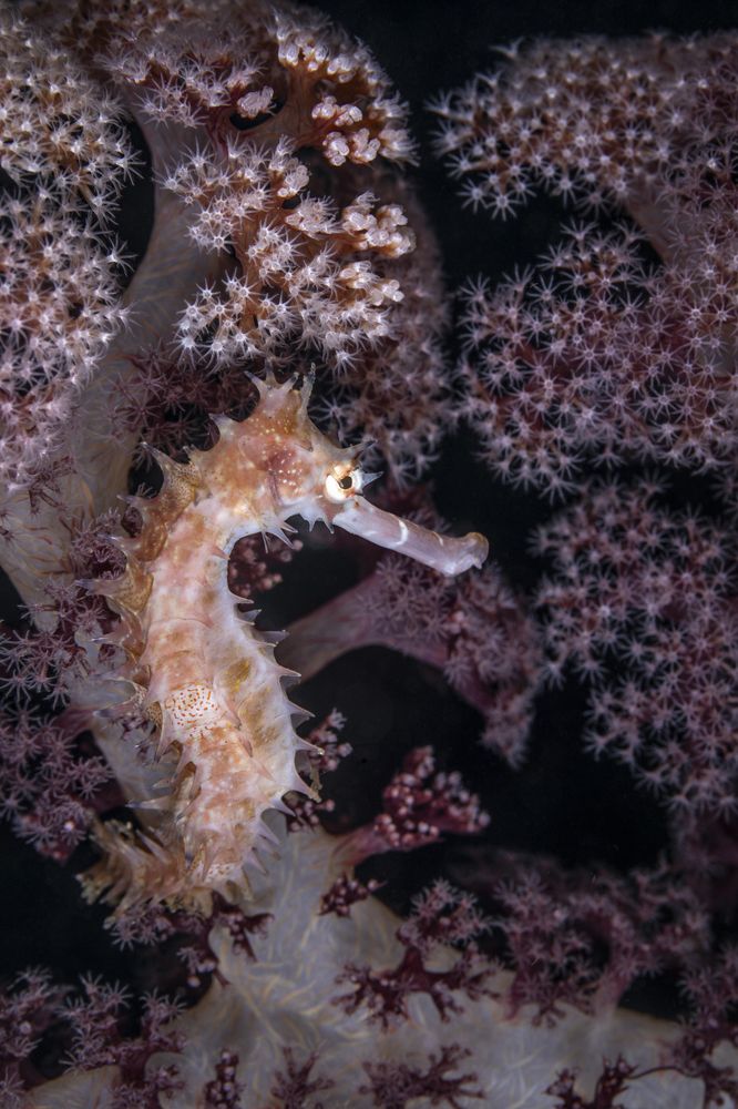 Фотография автора Fabi Fregonesi