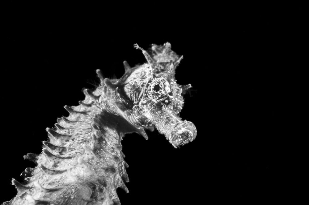 Фотография автора Fabi Fregonesi