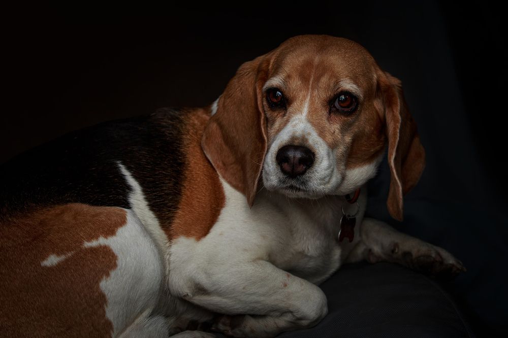 Photograph by Ольга Рябчикова