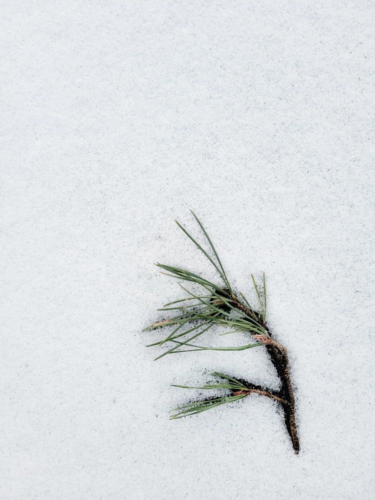 Photograph by Алина