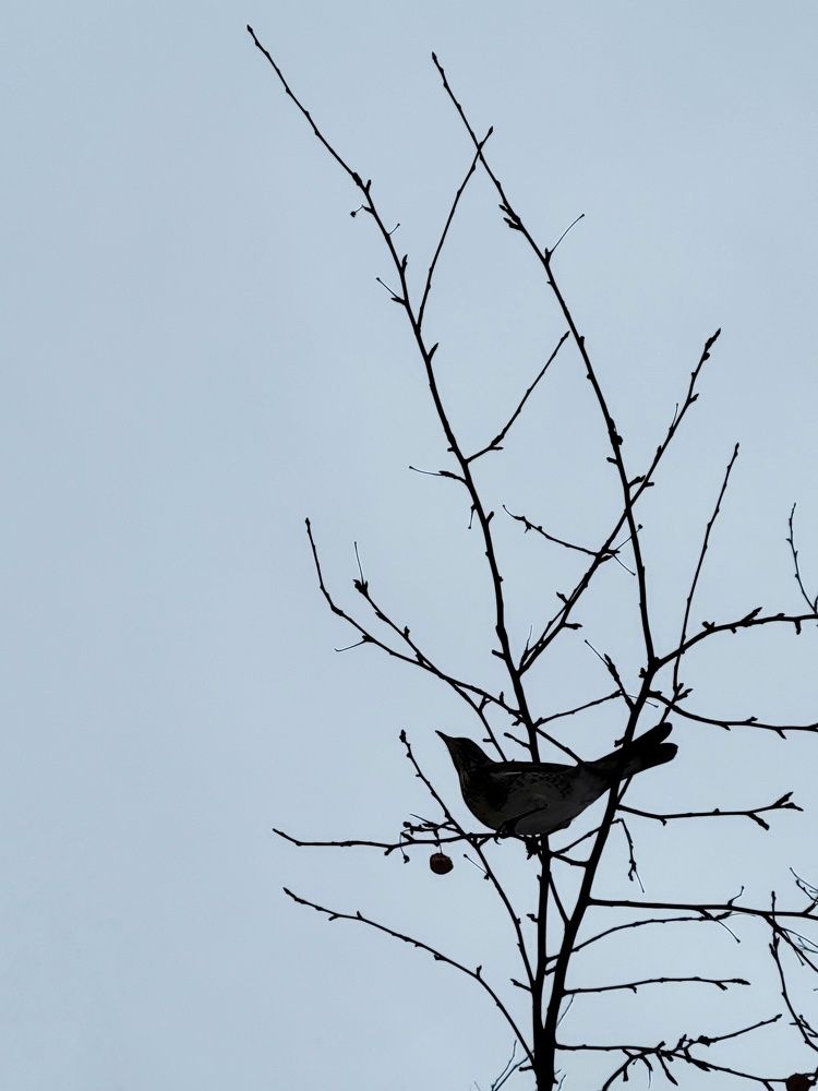 Photograph by Алина