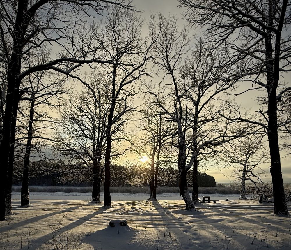 Photograph by Ксения