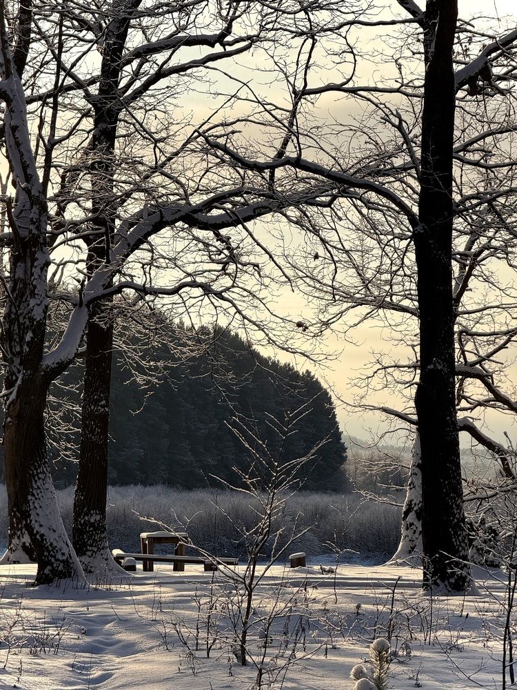 Photograph by Ксения