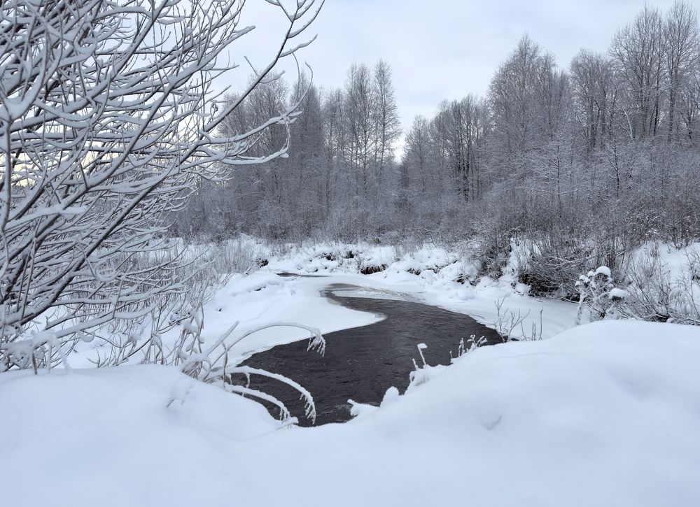 Photograph by Ксения