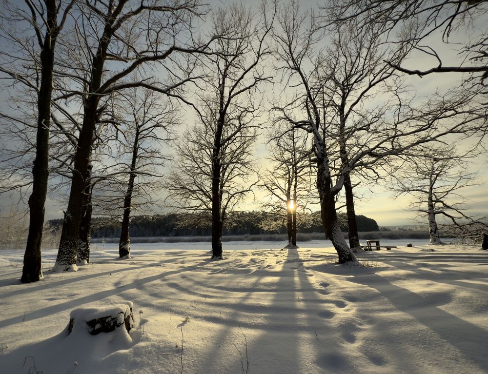 Photograph by Ксения