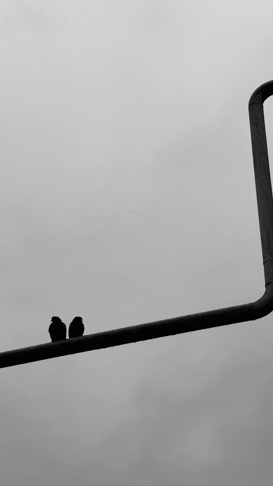 Photograph by Светлана Родионова