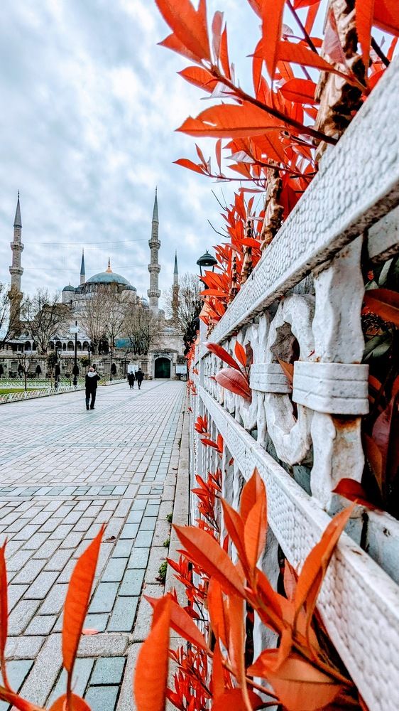 Photograph by Anastasiia