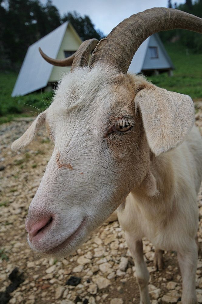 Фотография автора Александр Челмодеев