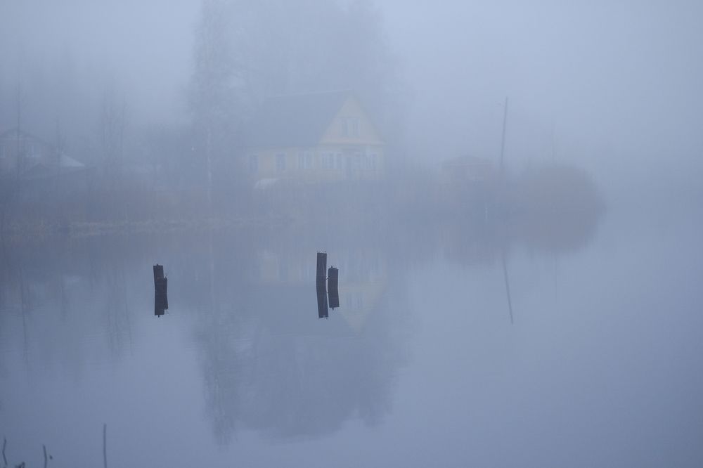 Photograph by Лариса Андреева