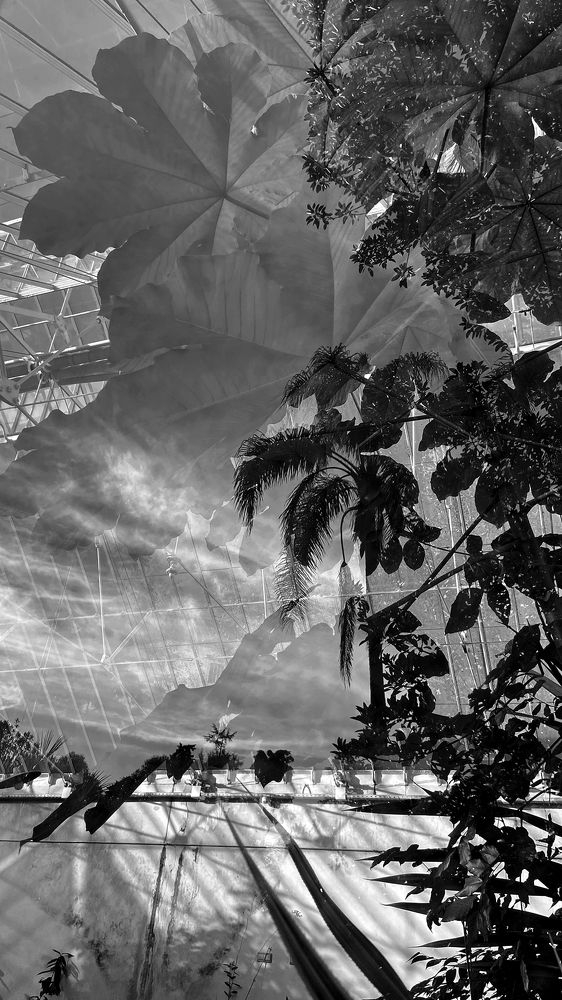 Photograph by Jose Cruzio