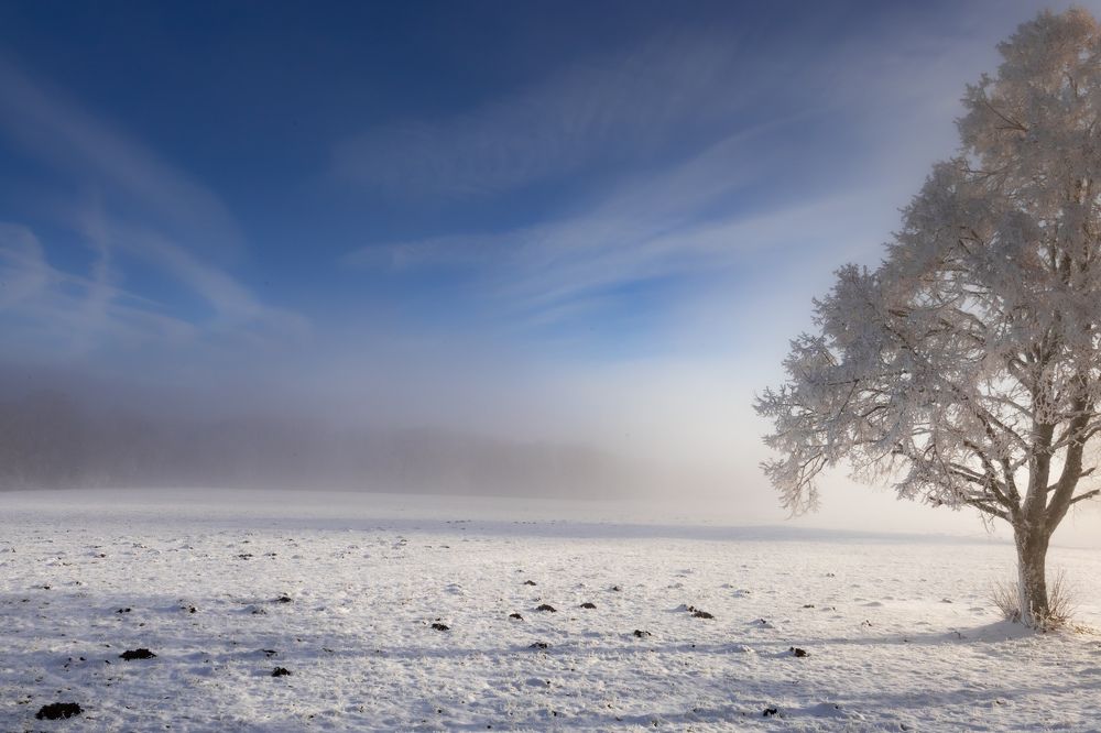 Photograph by Ed Simon