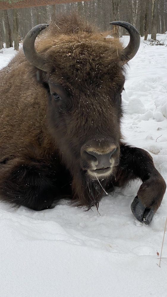 Photograph by Ольга Кушнарева