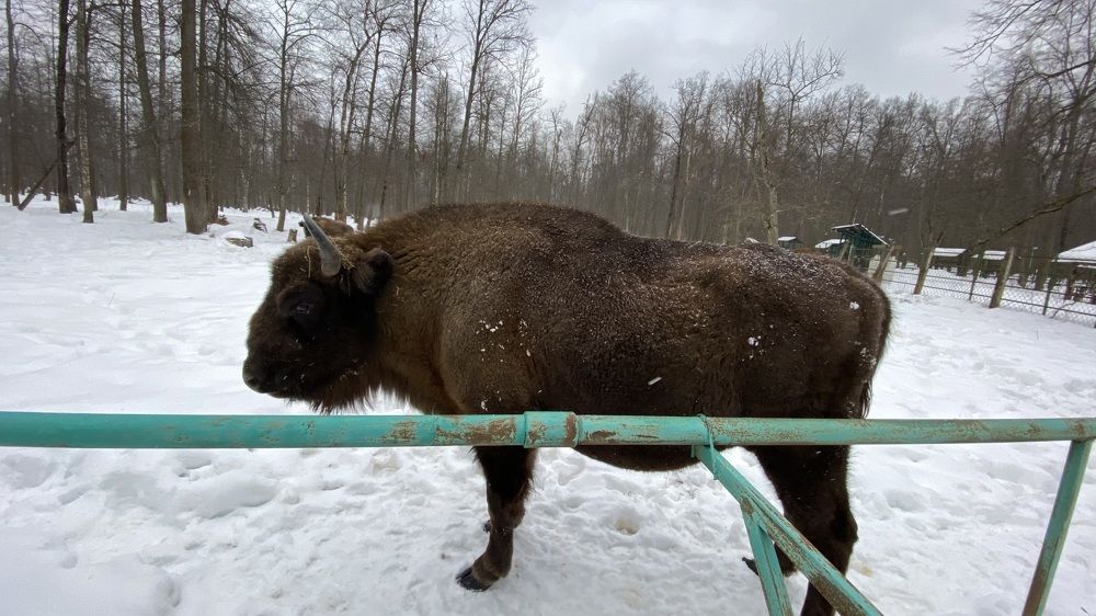 Photograph by Ольга Кушнарева