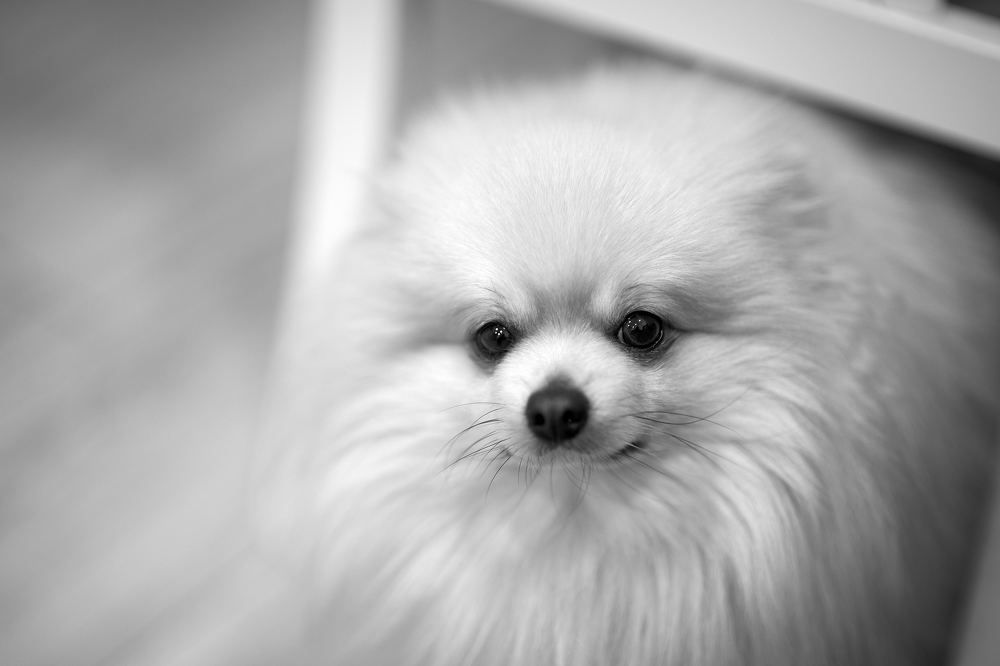 Photograph by Сергей Яблоков