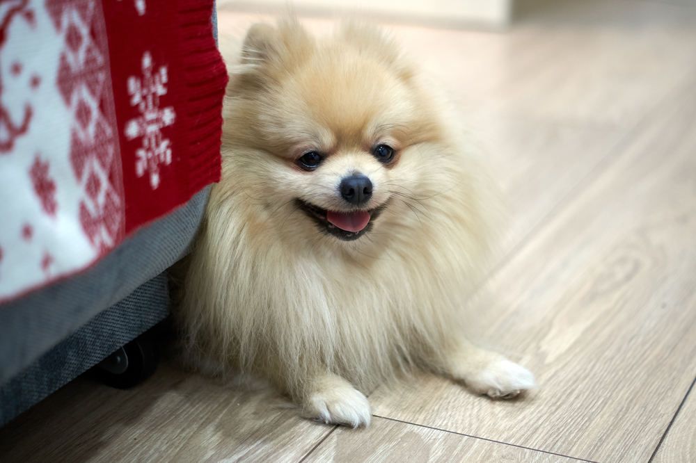 Photograph by Сергей Яблоков