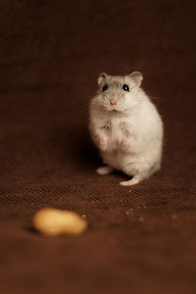 Photograph by Анна Марковская