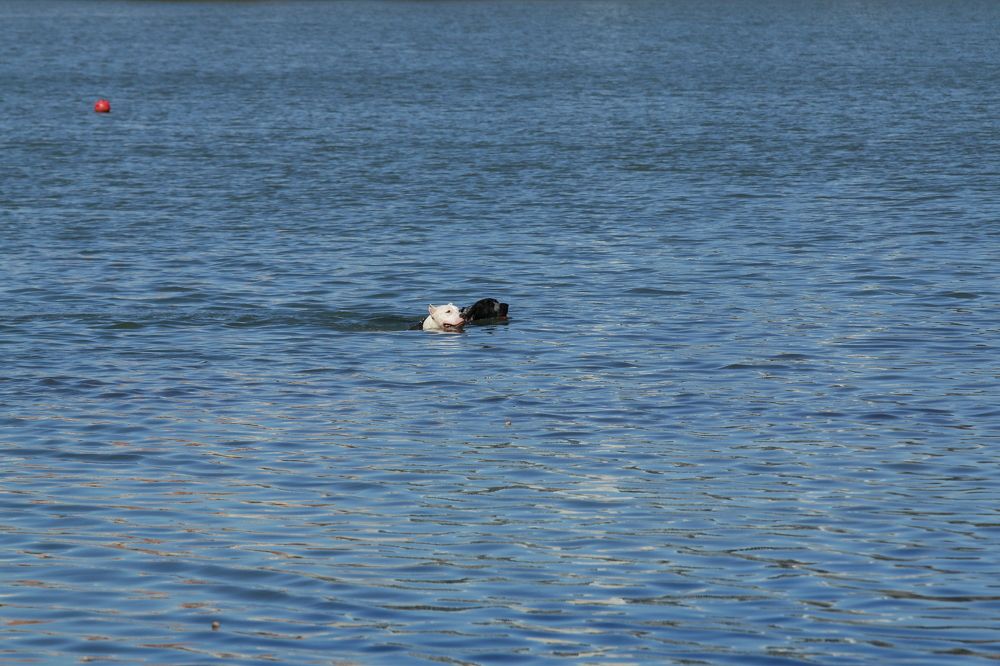 Фотография автора Сергей Кульков