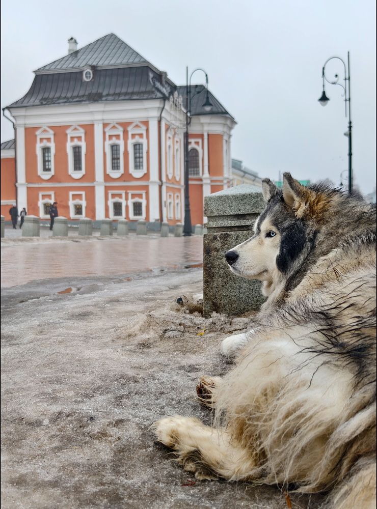 Фотография автора Денис Макаренко