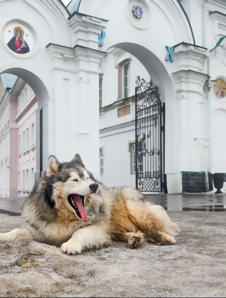 Фотография автора Денис Макаренко