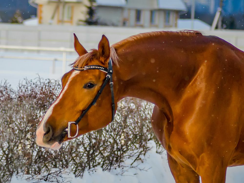 Photograph by Ольга Заповедная