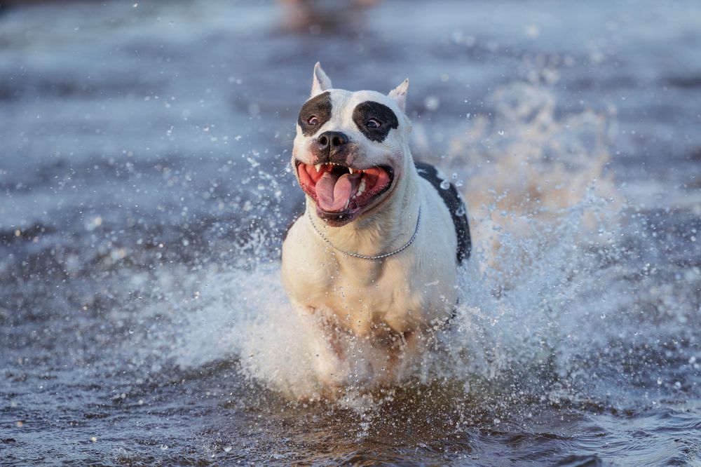 Photograph by Илья Юфа