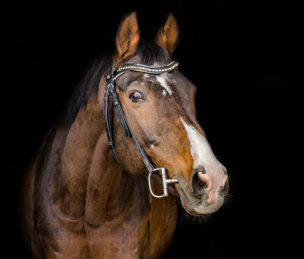 Фотография автора Ольга Заповедная