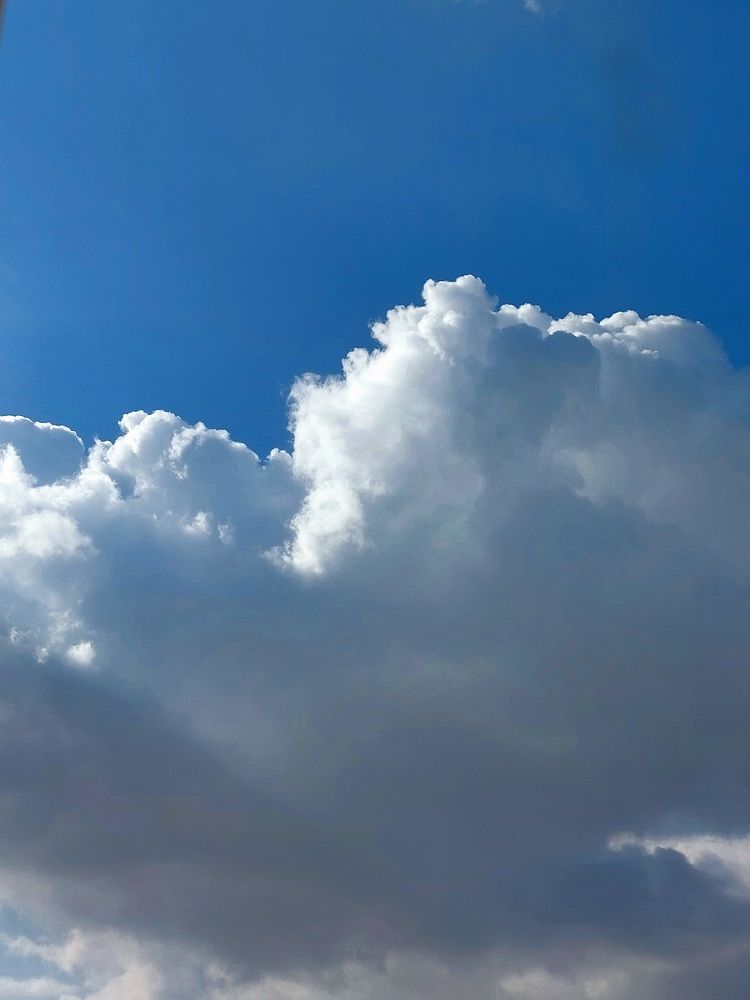 Photograph by Soha Hossam