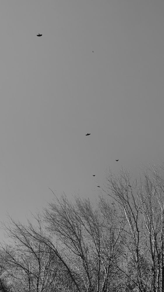 Photograph by Ирина Строкова