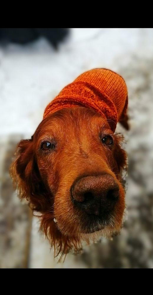 Photograph by Елена Воронова