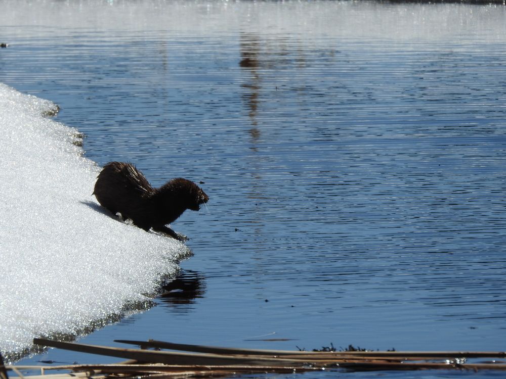 Photograph by Josée Beauchemin